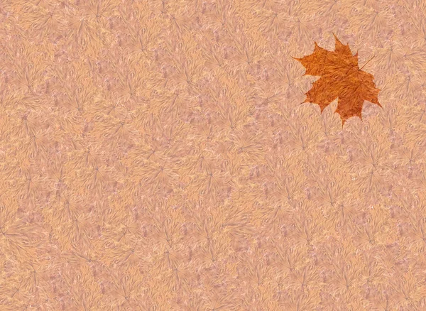 Texture from yellow leaves — Stock Photo, Image