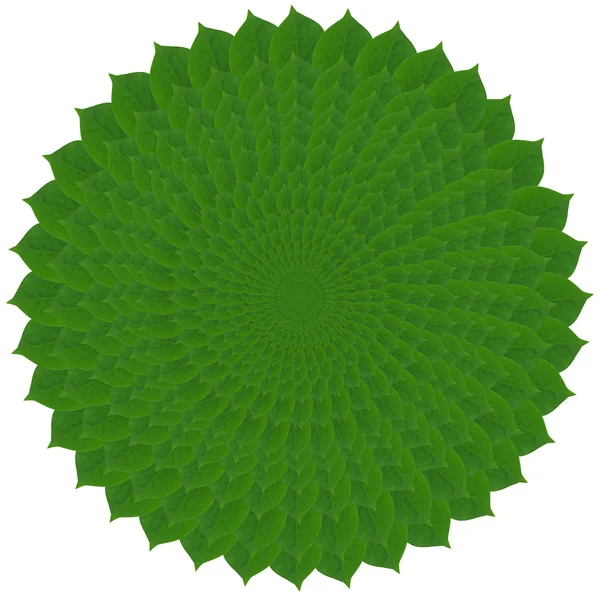 Green circle from leaves — Stock Photo, Image