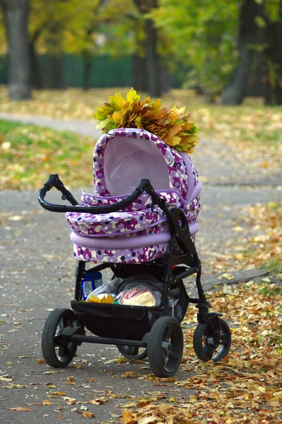 Perambulatore in piedi nel parco autunnale — Foto Stock