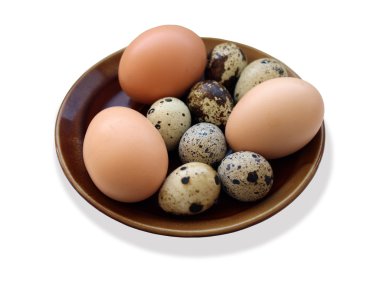 Bıldırcın ve üç izole tabakta tavuk yumurta