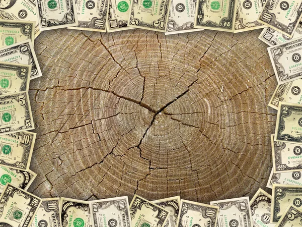 Ram från dollar på trä skuren bakgrunden — Stockfoto