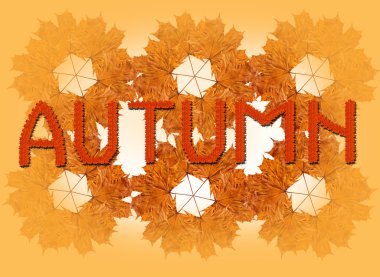 Yazıt üzerinde sonbahar yaprak