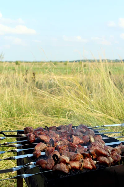 Apetitiva barbacoa en el fuego en el campo — Foto de Stock