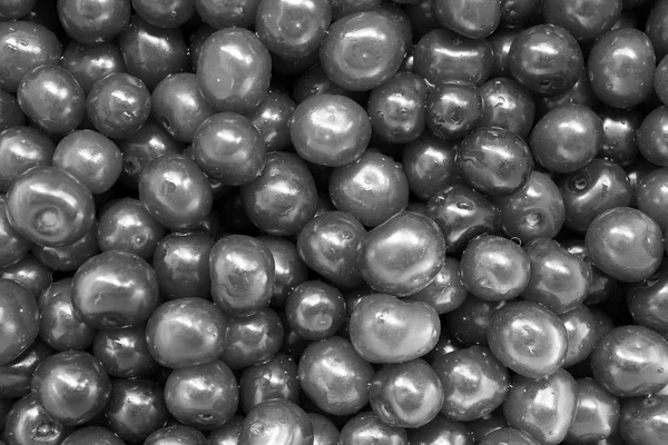 Black and white friuts of berries of cherry — Stock Photo, Image