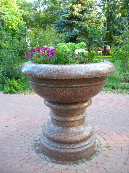 Beautiful flowers on the flower-bed from marble — Stock Photo, Image