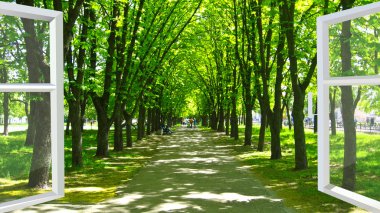 Birçok yeşil ağaçlar ile güzel parka açılan pencere