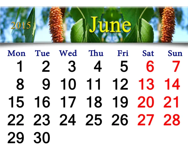 Ημερολόγιο για τον Ιούνιο του έτους 2015 με εικόνα των φύλλων της σημύδας — Φωτογραφία Αρχείου