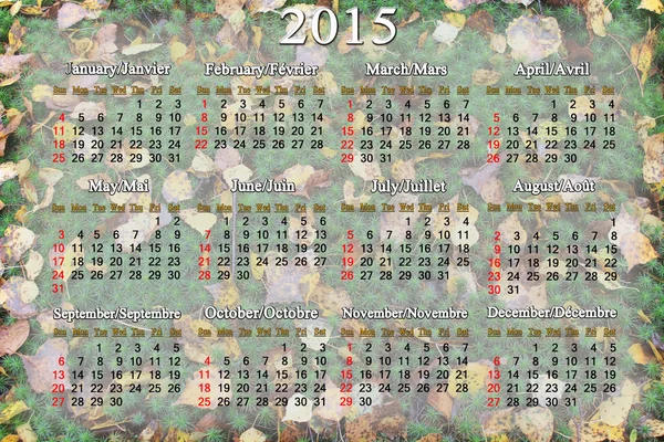 Calendar for 2015 year on the background of moss and leaves — Stock Photo, Image