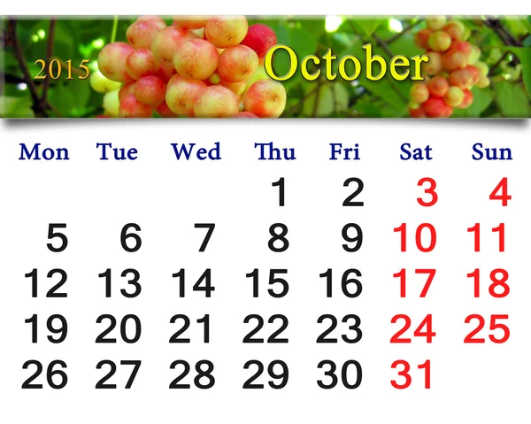 赤熟した五味子の枝と 2015 年の 10 月のカレンダー — ストック写真