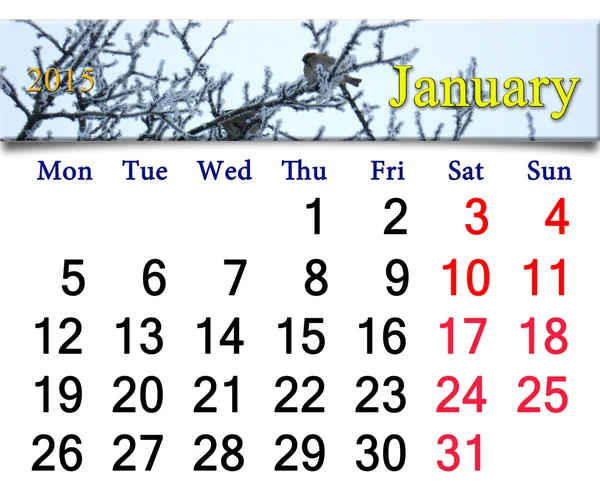 冬のスズメと 2015 年 1 月のカレンダー — ストック写真