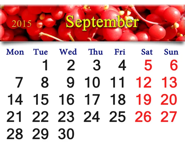 Kalender voor September van 2015 met rode rijpe Schisandraceae — Stockfoto