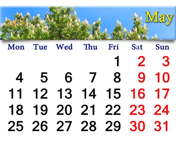 Calendario per maggio di 2015 anno con immagine di castagno fiorente — Foto Stock