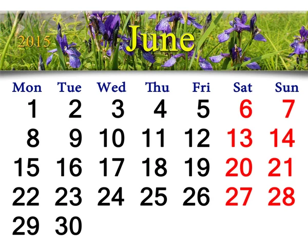 Calendario per maggio di 2015 anno con immagine di iride fiorente — Foto Stock