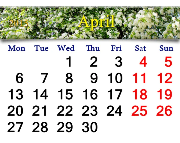 Calendário para maio de 2015 com árvore de cereja de pássaro — Fotografia de Stock