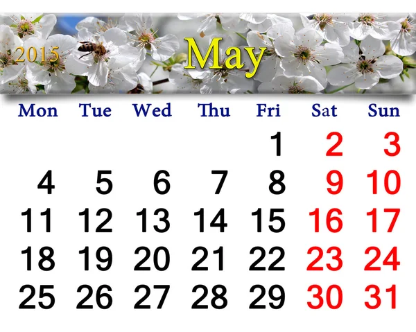 Календарь на май 2015 года с цветущей вишней — стоковое фото