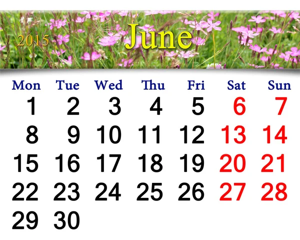 Calendar for June of 2015 year with wild carnation — Stock Photo, Image