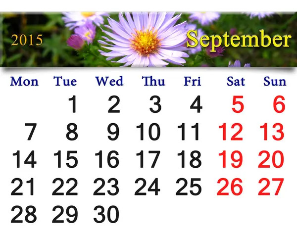 Calendário para julho de 2015 com flor de aster — Fotografia de Stock