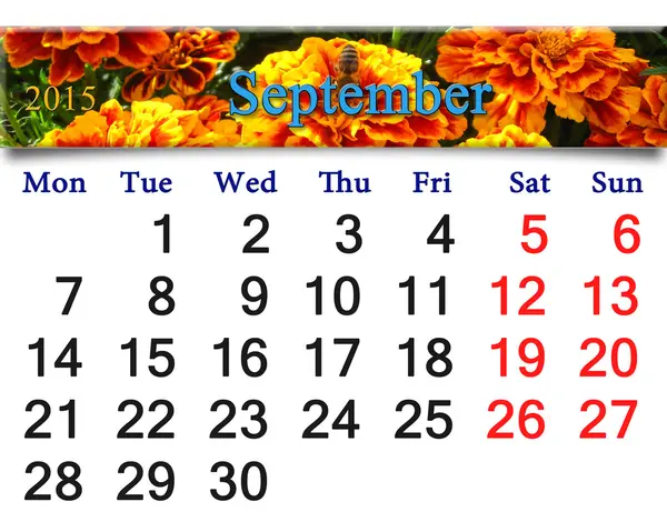 Calendário para setembro de 2015 com tagetes — Fotografia de Stock