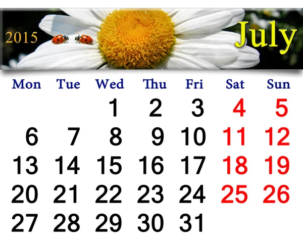 Calendrier pour juillet 2015 avec coccinelles sur camomille blanche — Photo