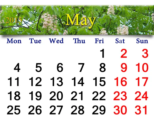 Calendar for May of 2015 year with blossoming chestnut — Stock Photo, Image