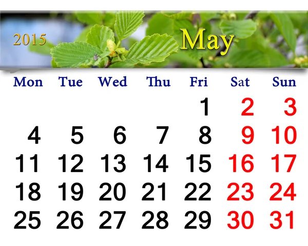 Calendario per maggio 2015 anno con foglie di ontano — Foto Stock