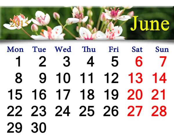 Kalender voor juni 2015 jaar met afbeelding van butomus umbellatus — Stockfoto