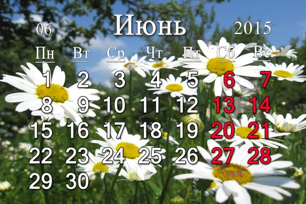 Calendario per il giugno 2015 sullo sfondo delle camomille — Foto Stock