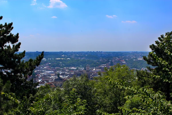 Hogy a háztetőkön lvov városában — Stock Fotó