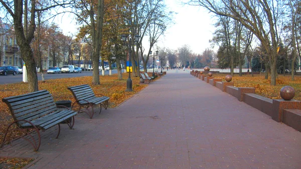 Bancs et sentier dans le parc de la ville d'automne — Photo