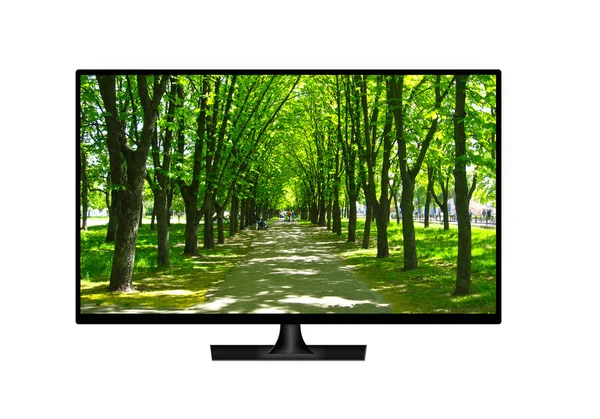 Televisie met beeld van prachtige park geïsoleerd — Stockfoto