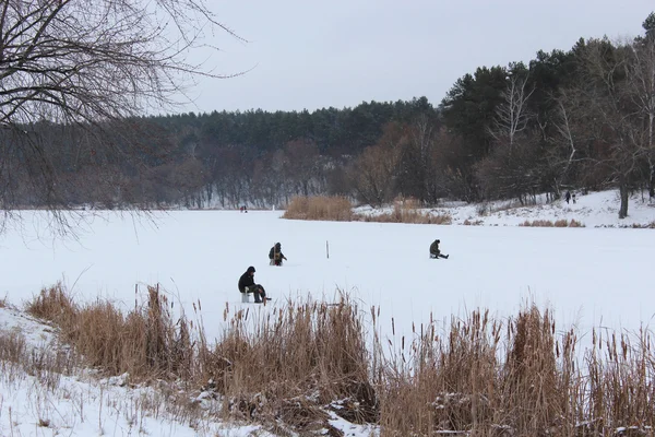 Рибалок у зимової риболовлі — стокове фото