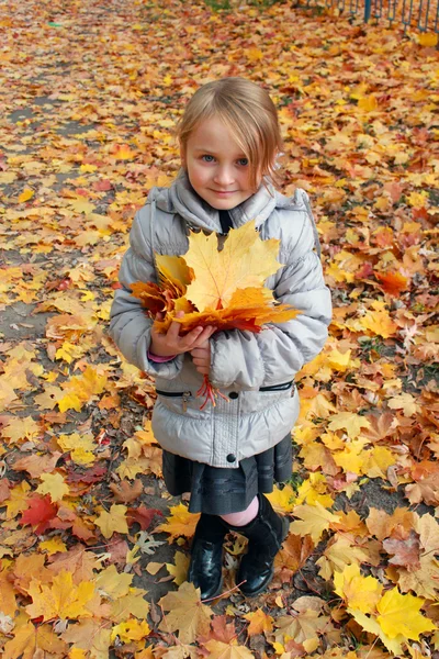 Liten flicka med gula blad i parken — Stockfoto