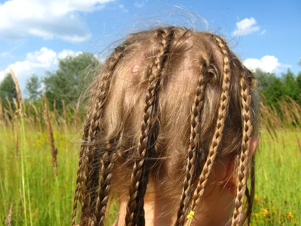 Little girl with a lot of braides — Stock Photo, Image
