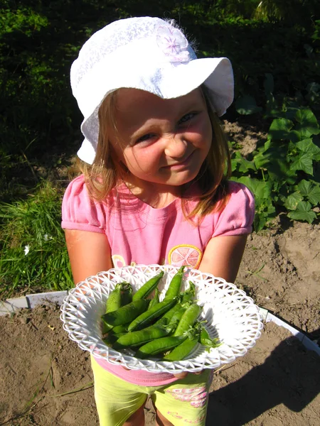 小さな女の子は、新鮮なエンドウ豆を提案します。 — ストック写真