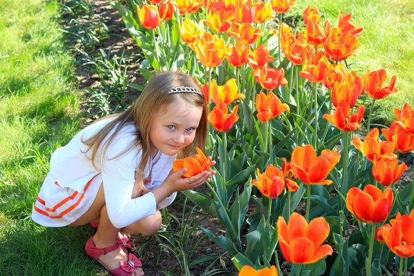 Menina cheira tulipas no canteiro de flores — Fotografia de Stock