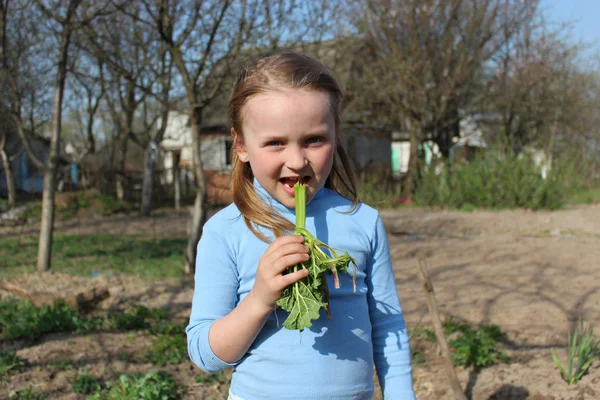 Petite fille mâcher jeune germe d'un rhubarde — Photo