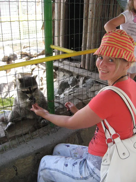 동물원에서 너구리를 수 유 하는 여자 — 스톡 사진