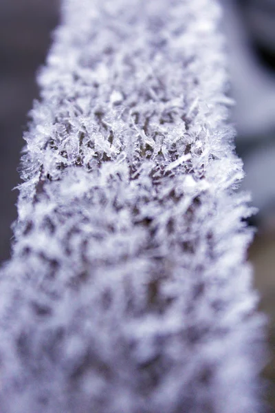 Hoar-frost on the wood — Stock Photo, Image