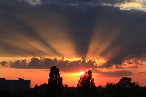 Puesta de sol de verano con cielo oscuro y rayos soleados — Foto de Stock