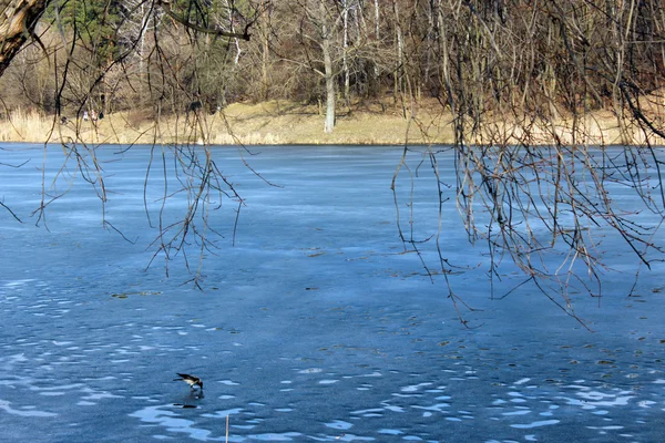 Floden med smältande is tidigt på våren — Stockfoto