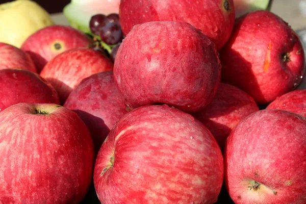 Reife rote Äpfel — Stockfoto