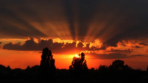 Ciemny latem spadek z ciemnego nieba drzew i ostatnie promienie słońca — Zdjęcie stockowe