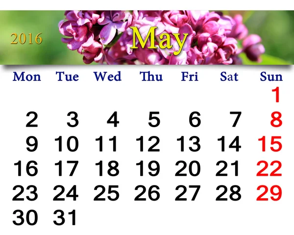 Календарь на май 2016 года с сиренью — стоковое фото