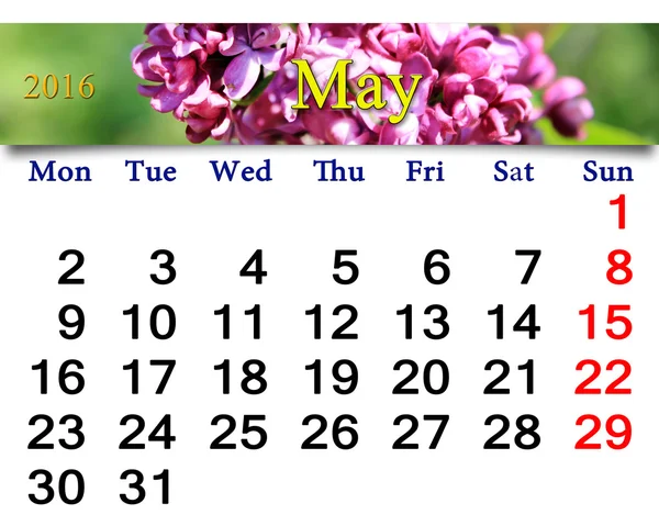 Calendar for May of 2016 with lilac — Stock Photo, Image