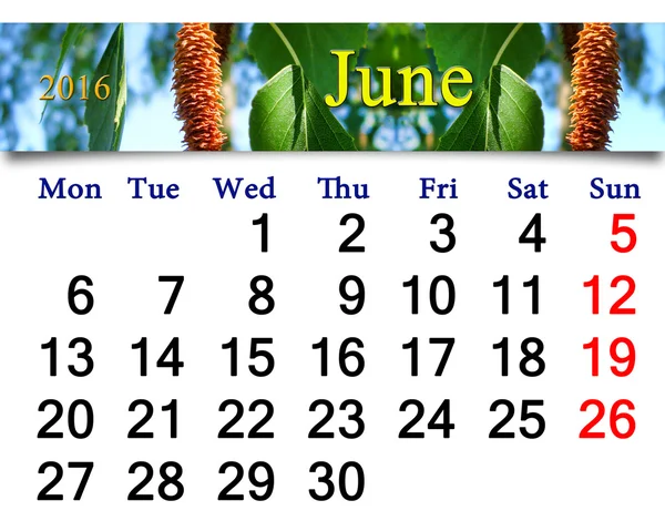 Календар на червень 2016 року з зображенням листя берези — стокове фото