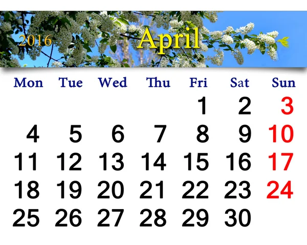 鳥桜と 2016 年 4 月のカレンダー — ストック写真