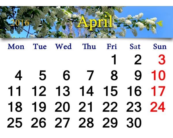 Calendar for April 2016 with bird cherry tree — Stock Photo, Image