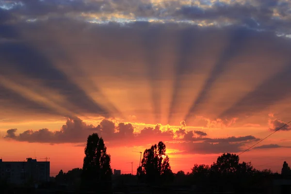 Puesta de sol sobre los árboles — Foto de Stock