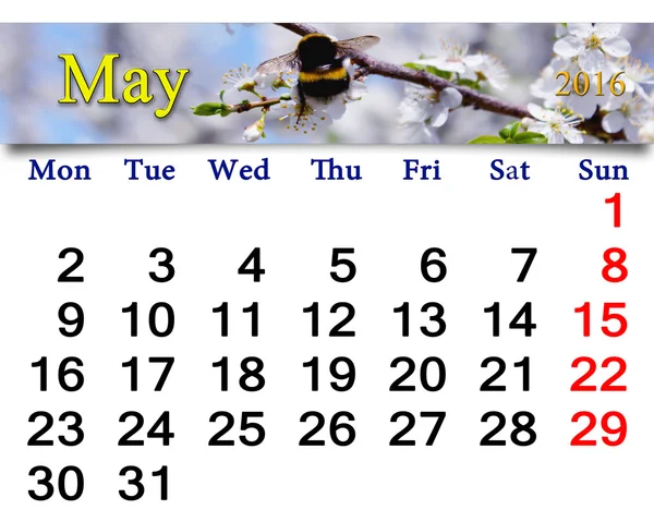 Calendar for May 2016 — Stock Photo, Image