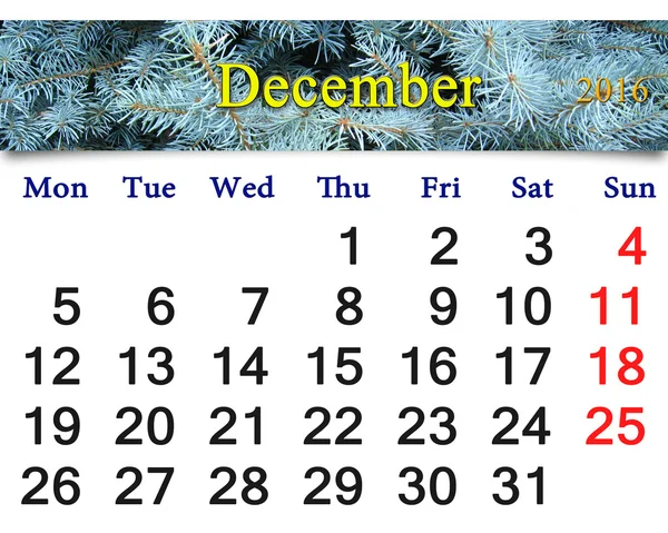 Calendario para diciembre 2016 con foto de abeto siempreverde —  Fotos de Stock